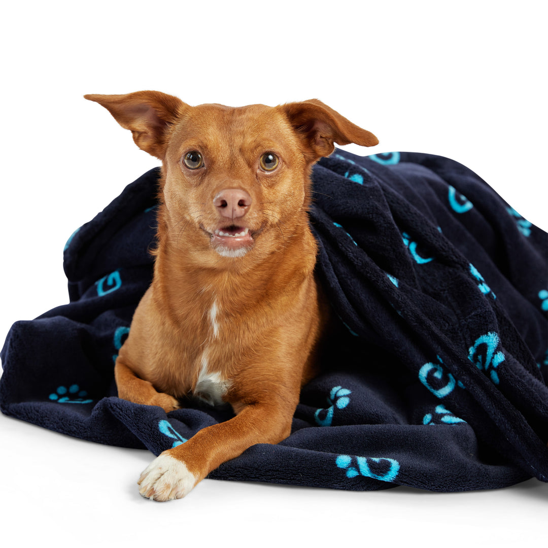 Logo Blanket - Navy by GF Pet