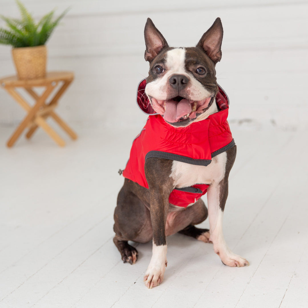 Reversible Elasto-Fit Raincoat - Red by GF Pet