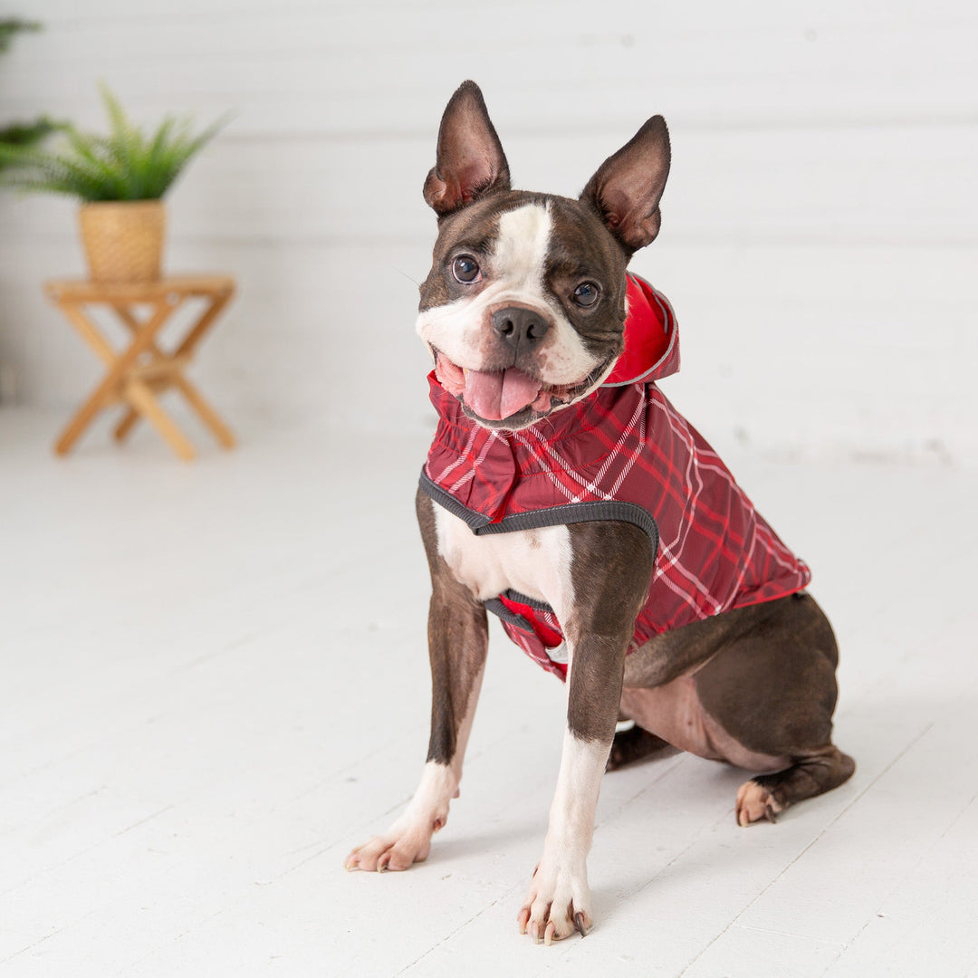 Reversible Elasto-Fit Raincoat - Red by GF Pet