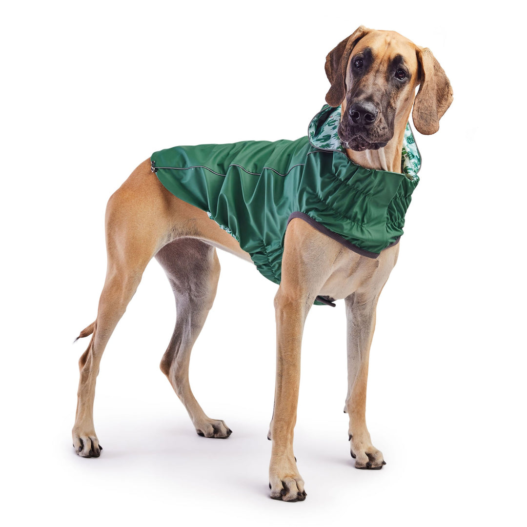 Reversible Elasto-Fit Raincoat - Green/Green by GF Pet