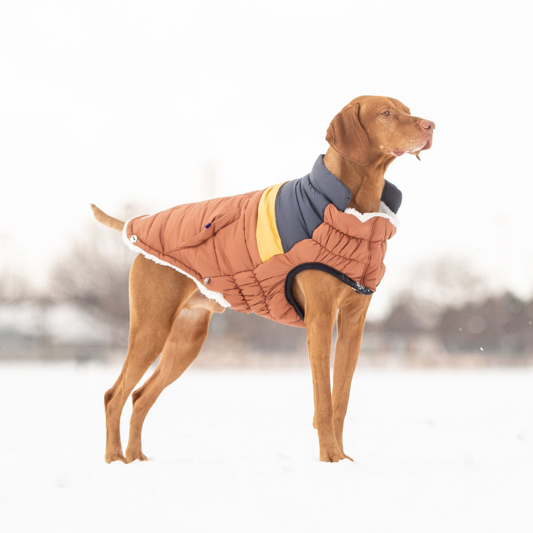 Retro Puffer - Hazel by GF Pet