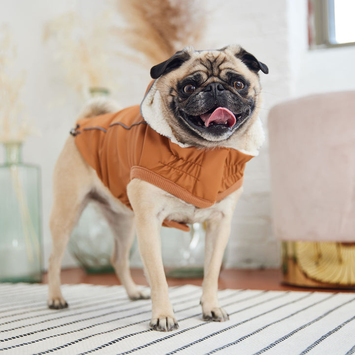 Insulated Raincoat - Hazel by GF Pet