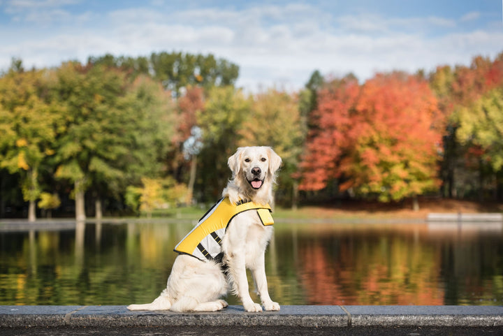 Life Vest - Dog Life Jacket by GF Pet
