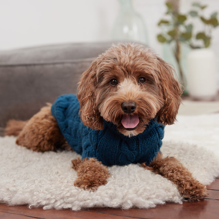 Chalet Sweater - Dark Teal by GF Pet