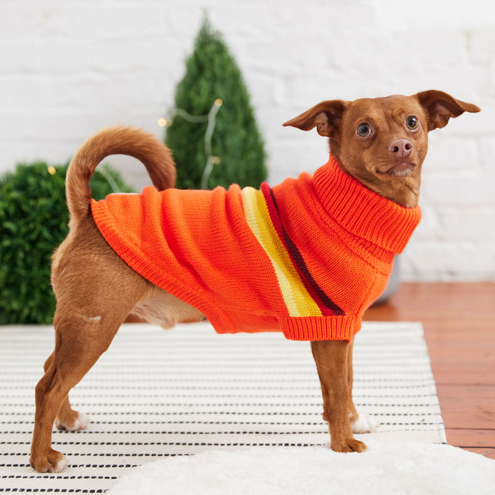Retro Sweater - Orange by GF Pet