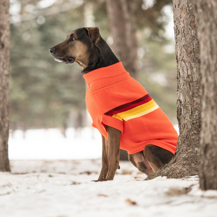Retro Sweater - Orange by GF Pet