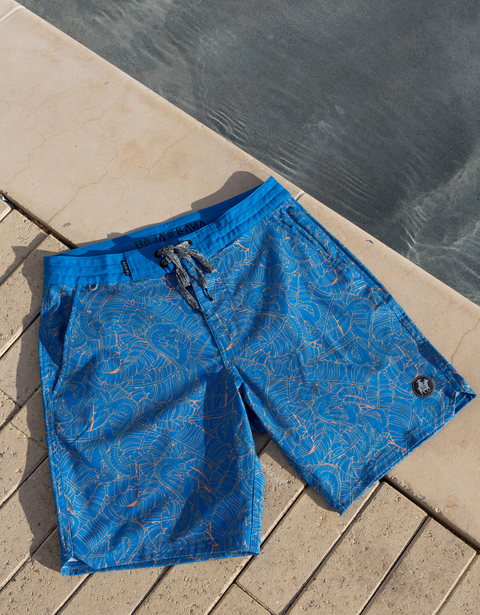 Men's Swimwear