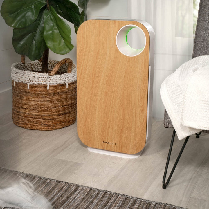 Oval Air Purifier by OVAL AIR