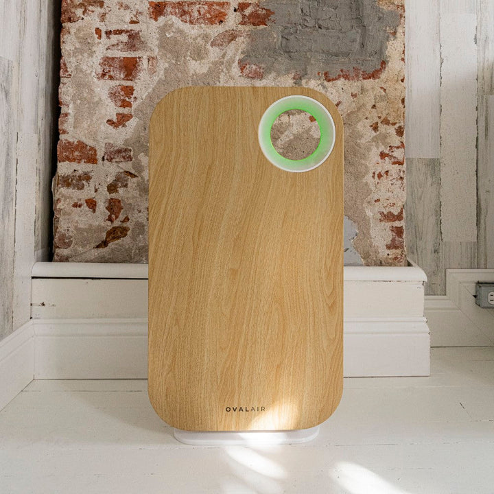 Oval Air Purifier by OVAL AIR