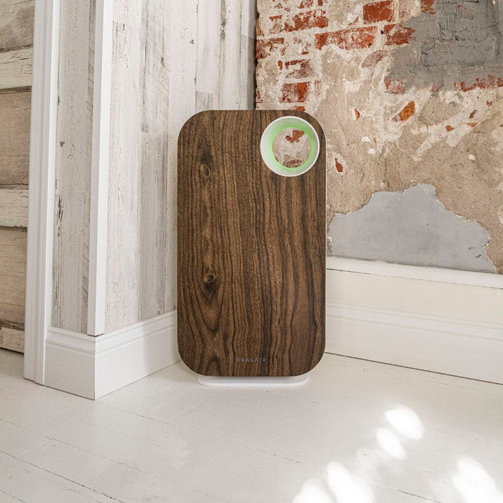 Oval Air Purifier by OVAL AIR