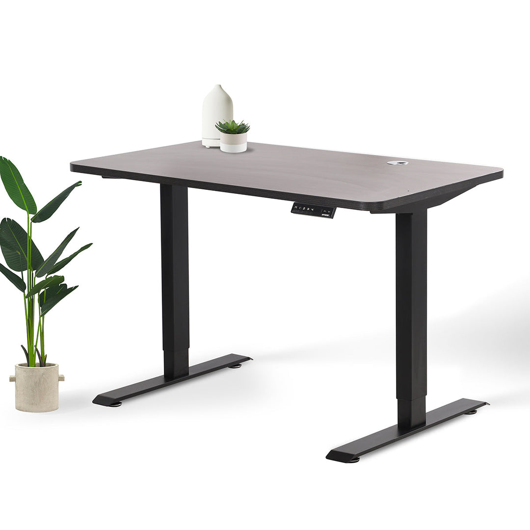 Home Office Standing Desk by EFFYDESK