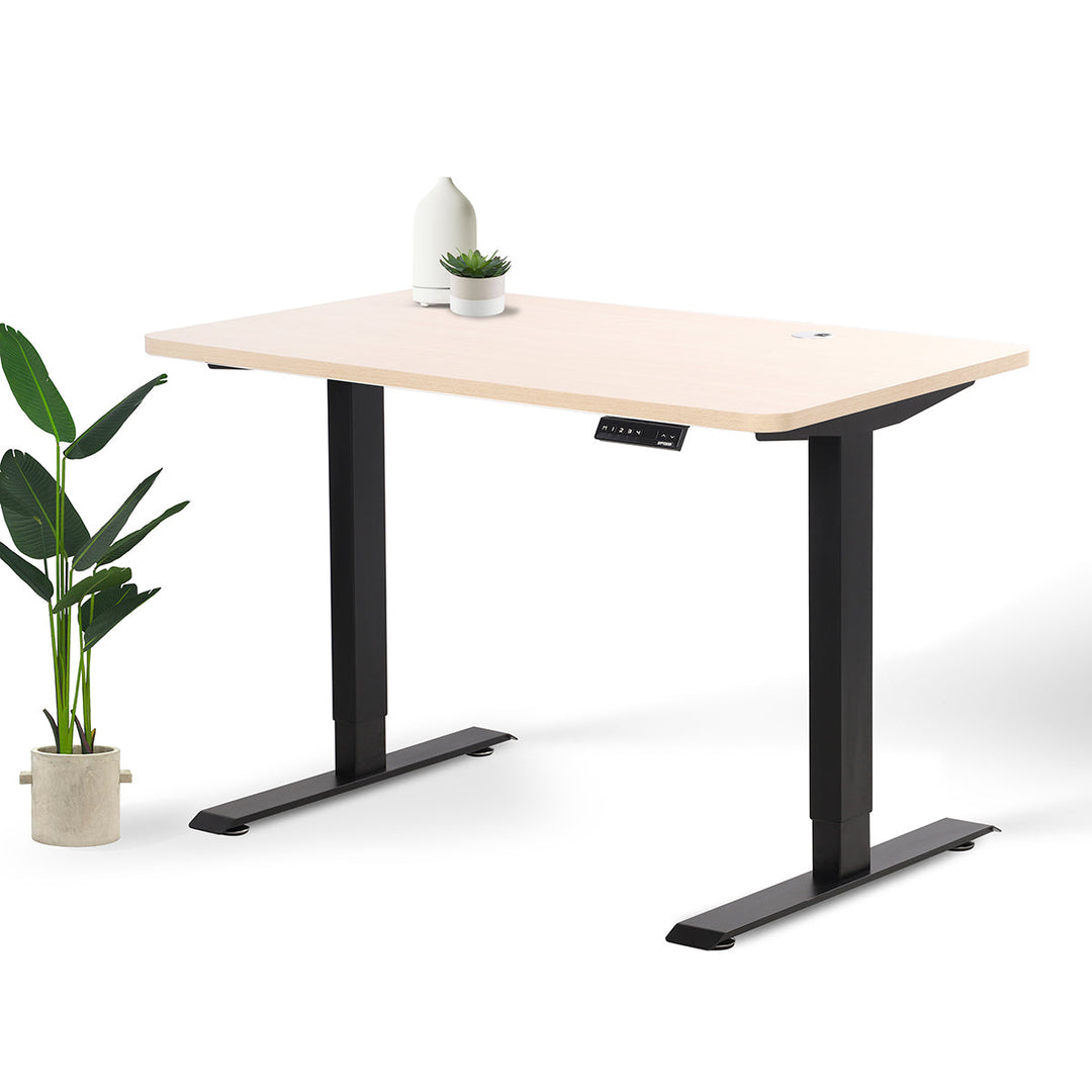 Home Office Standing Desk by EFFYDESK