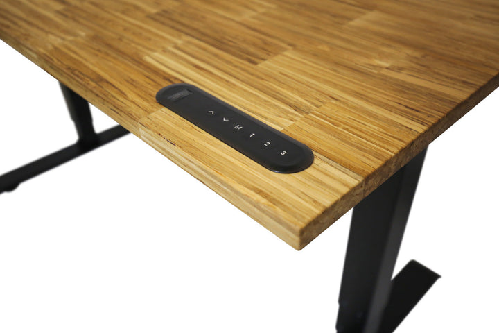 TerraDesk | Eco-Friendly Height-Adjustable Electric Standing Desk by EFFYDESK