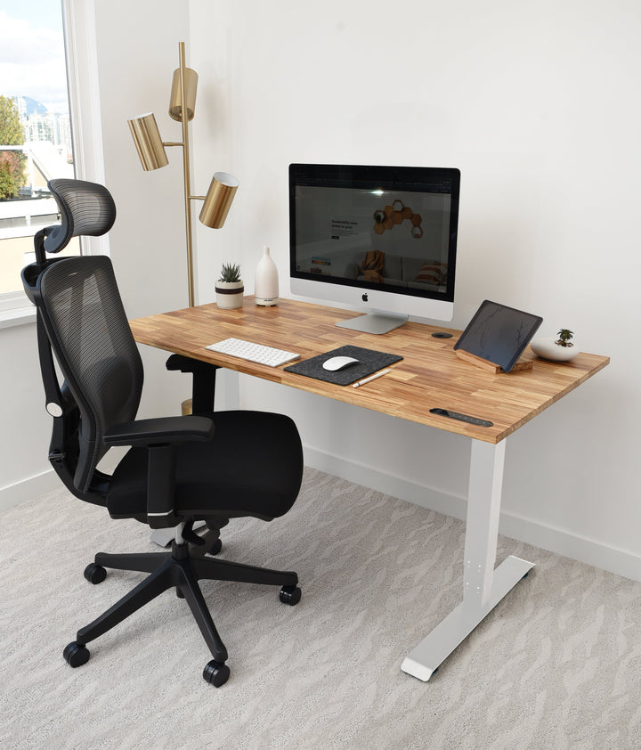 TerraDesk | Eco-Friendly Height-Adjustable Electric Standing Desk by EFFYDESK