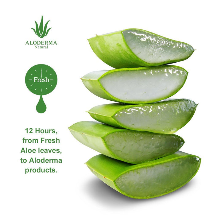 Aloe Brightening Facial Cleanser by ALODERMA