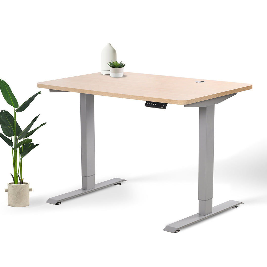 Home Office Standing Desk by EFFYDESK