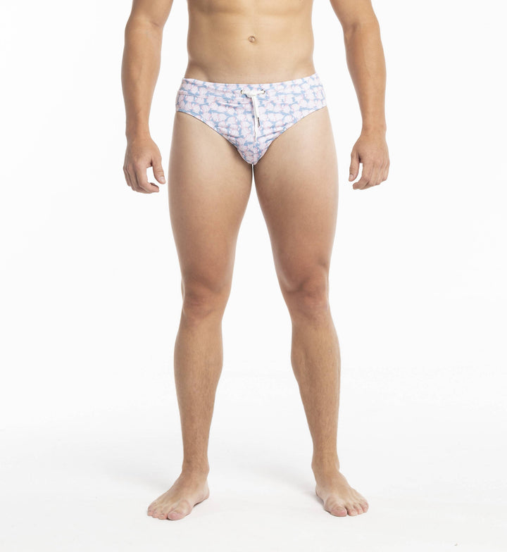 Swim Briefs - Fish by Bermies Swimwear