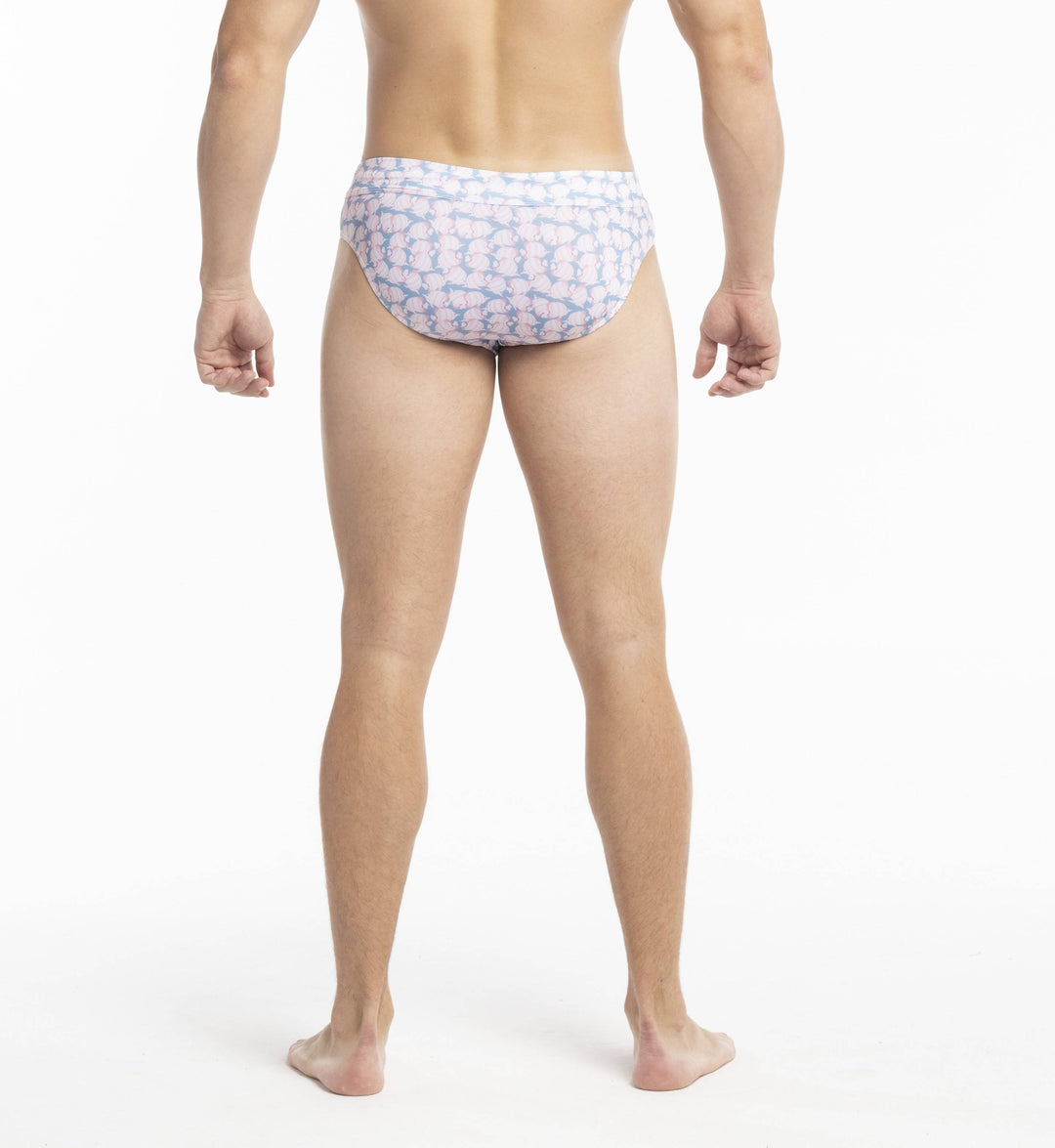 Swim Briefs - Fish by Bermies Swimwear