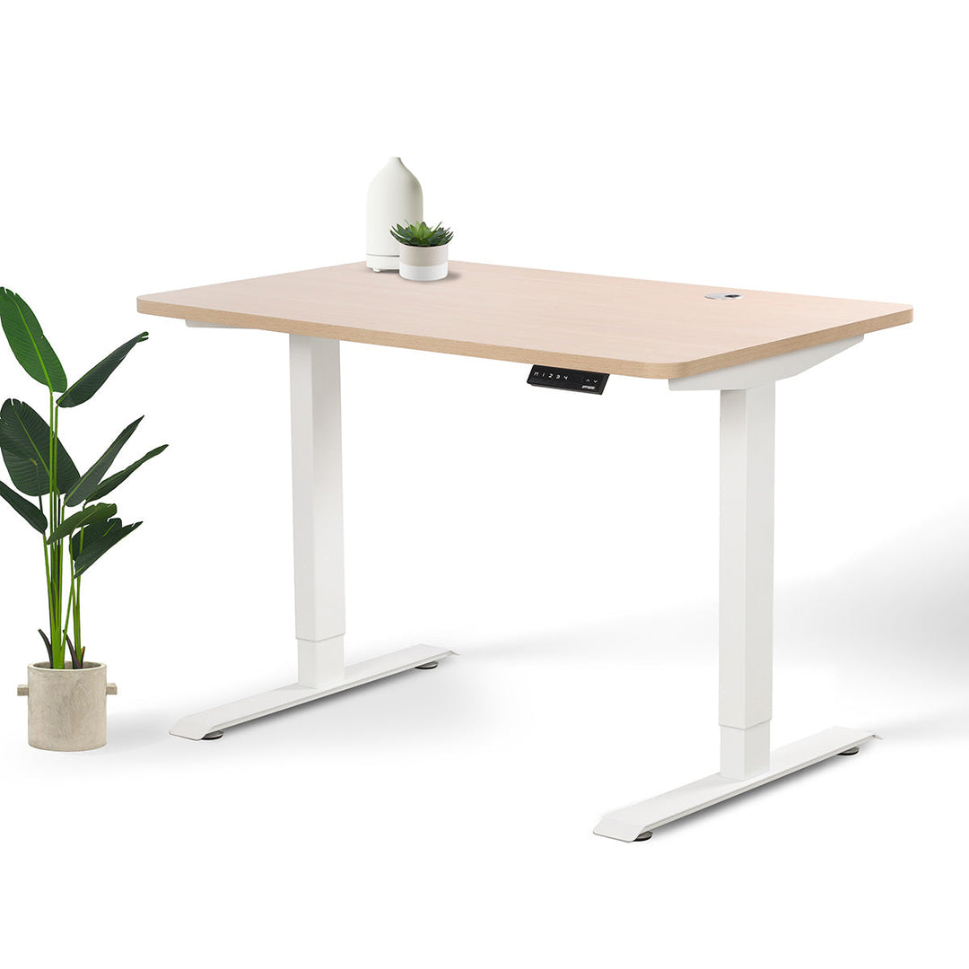 Home Office Standing Desk by EFFYDESK